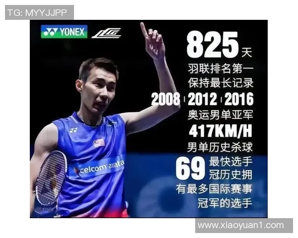 李宗伟与林丹对决历史数据分析及比赛回顾