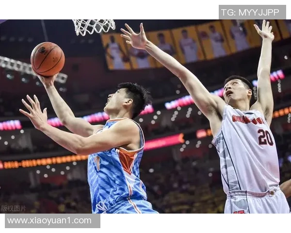 2015年11月20日新疆对阵深圳精彩比赛视频回顾与分析