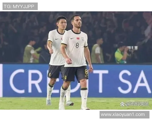 2017年世预赛韩国与伊朗激战回顾精彩瞬间与赛后分析