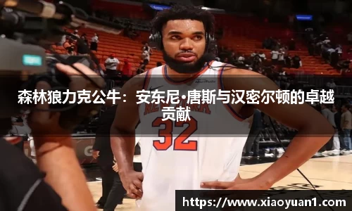 森林狼力克公牛：安东尼·唐斯与汉密尔顿的卓越贡献