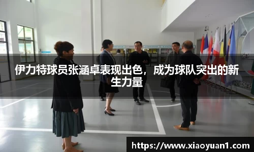 威廉希尔williamhill官网