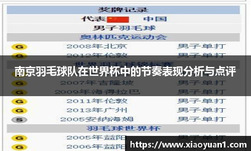 南京羽毛球队在世界杯中的节奏表现分析与点评