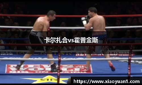 卡尔扎合vs霍普金斯