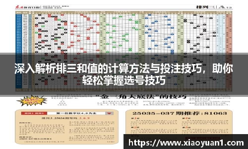 深入解析排三和值的计算方法与投注技巧，助你轻松掌握选号技巧